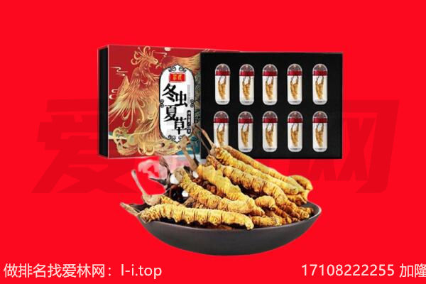 张家口市回收虫草.jpg